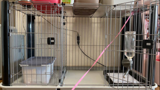 犬の、ゲージ！
