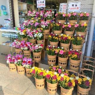 💐西多摩霊園内売店🌷販売スタッフ募集💐