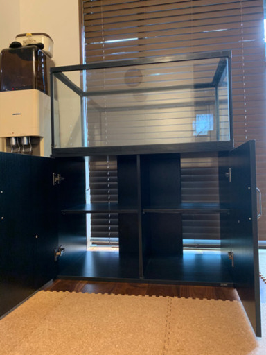 〈決まりました！〉GEX 水槽90㎝/ろ過装置/エアー/29㎝プレコフルセット 決まりました！〉GEX 水槽90㎝/ろ過装置/エアー/29㎝プレコフルセット