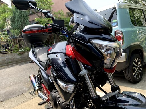 GSR250 カスタム多数　走行距離約3万km　車体綺麗