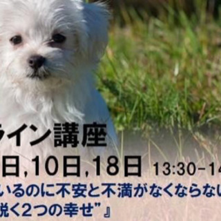 頑張っているのに不安と不満がなくならない理由〜ブッダの説く2つの幸せ