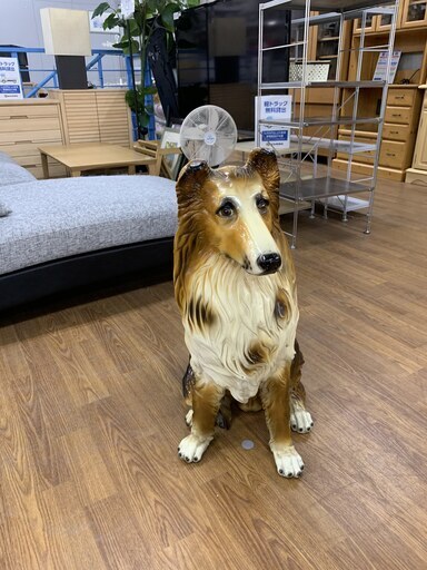 置物　コリー　売場展開中！！！