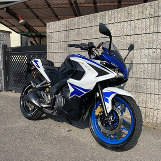 バジャージ‼️パルサーRS200‼️KTMの、親戚⁉️美車