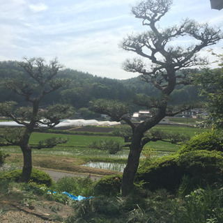 庭の草むしり、草取り - 建築