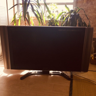 テレビ50インチ