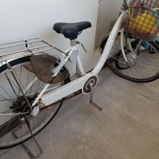 電動自転車いかがでしょうか？