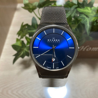 スカーゲン SKAGEN 956XLTTN ユニセックス