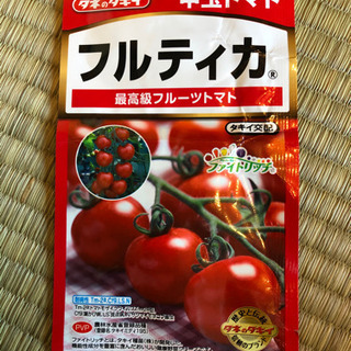 中玉トマト フルティカの種