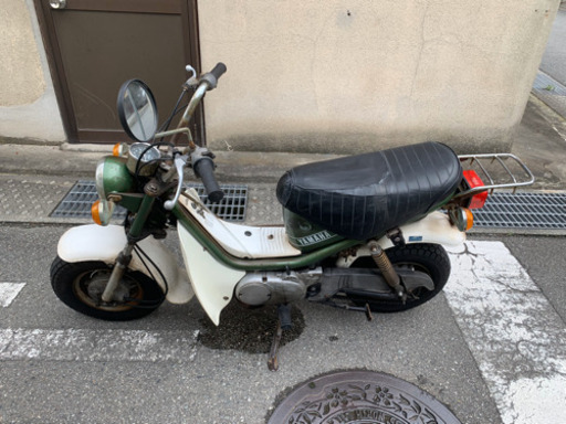 チャッピー