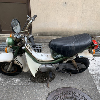 チャッピー