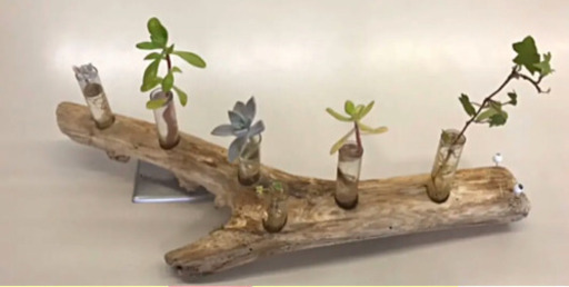 流木と試験管 なんでもやん 三角のその他の中古あげます 譲ります ジモティーで不用品の処分