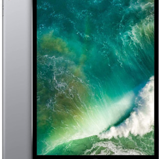 iPad Pro 12.9インチ　第一世代　128GB スペースグレイ　ML212J/A 中古品
