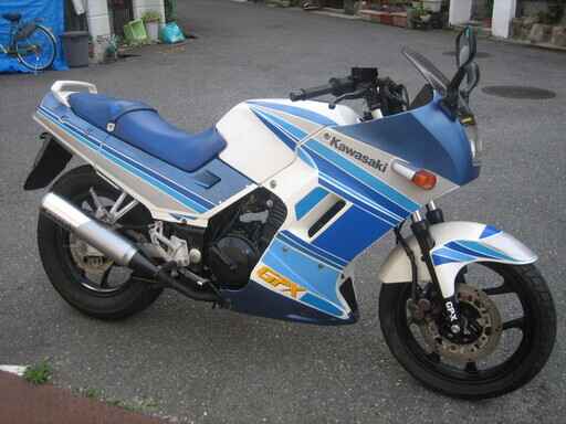 GPX250R  綺麗です　動画付 値下げしました GPX250R 綺麗です 動画付 値下げしました GPX250 カワサキ 250cc