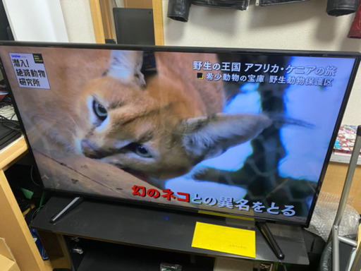 50型 4Kテレビ テレビ台付