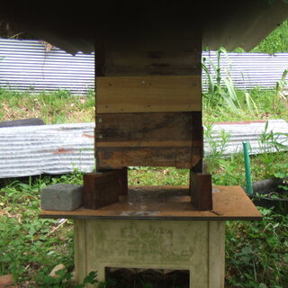 日本蜜蜂　今春入居した日本みつばちです　継ぎ足し用巣枠1個お付け...