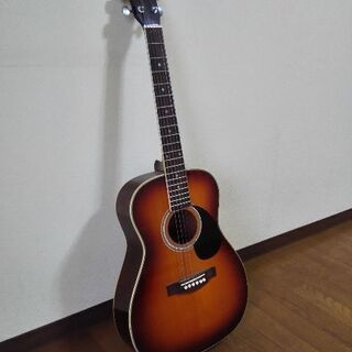 TINY  Boyアコースティックギター　TF-50BS
