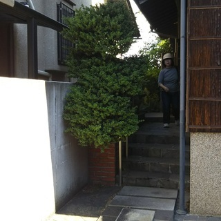 短期戸建 貸家   - 茨木市