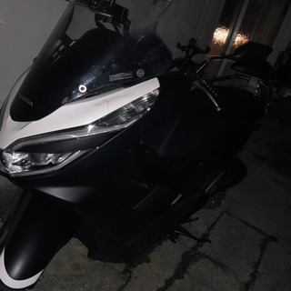 PCX ロングスクリーン | w2-worldbuffet.co.uk