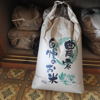 新潟県産100％コシヒカリ10Kg（玄米）
