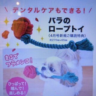 犬のおもちゃです♪いぬのきもちの付録をお安くお譲りいたします！