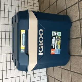 【新品】igloo クーラーボックス