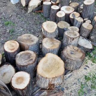 原木玉切り 素材丸太薪割り台や家具 食器作り 工作に Bran 円山公園のその他の中古あげます 譲ります ジモティーで不用品の処分
