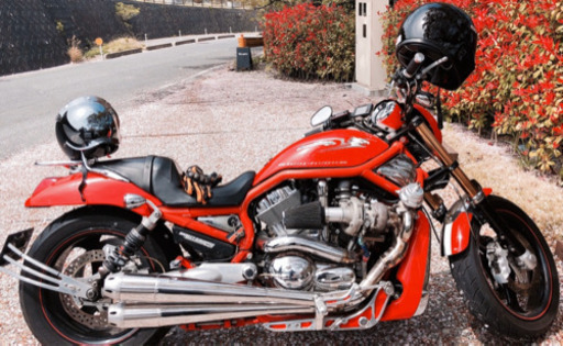 ハーレーダビットソン VROD