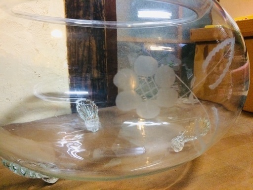ガラス金魚鉢 メダカ鉢 脚付き 透かし彫り 大きめ ばんでぃー 名古屋の家庭用品 ガーデニング の中古あげます 譲ります ジモティーで不用品の処分 ガラス金魚鉢 メダカ鉢 脚付き 透かし彫り 大きめ ばんでぃー 名古屋の家庭用品 ガーデニング の中古あげます 譲ります ジモティーで不用品の処分