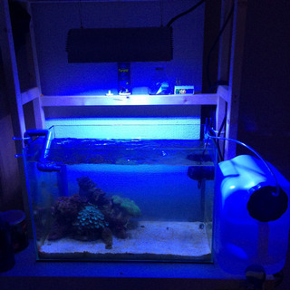 海水オーバーフローセット