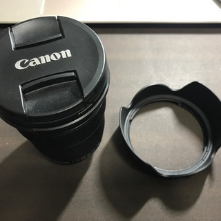 Canon EF 24-105mm f3.5-5.6 IS STM