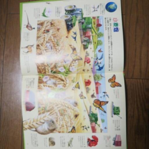 絵本 探し絵ツアー 地球を大冒険 Color 浦和の本 Cd Dvdの中古あげます 譲ります ジモティーで不用品の処分