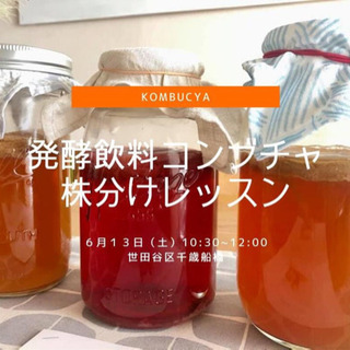 発酵飲料コンブチャ株分け会の画像