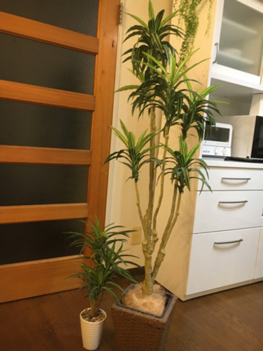 観葉植物（フェイク）2つセットで