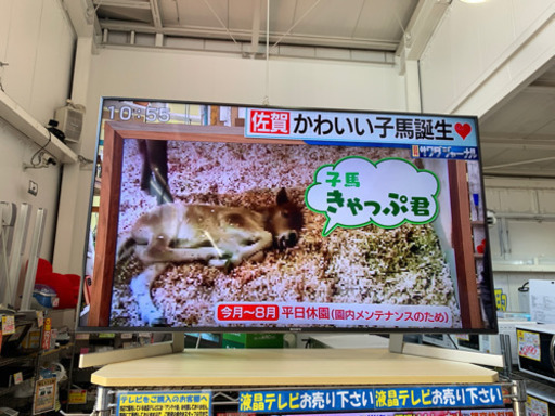 7/17 値下げ! 美品 2018年製 SONY ソニー 49型液晶テレビ 4K BRAVIA KJ-49X9000F