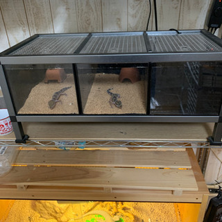 タフラック　専用ヒーター＆サーモ付き