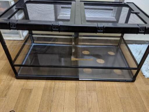 爬虫類ゲージ90cm