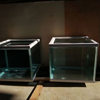 ガラス小型水槽。45センチ角のキューブ水槽