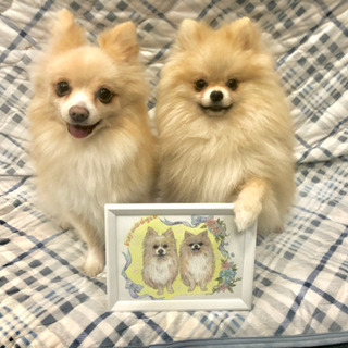 犬友達 しぃ 川口のその他のメンバー募集 無料掲載の掲示板 ジモティー