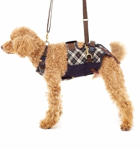 中型犬•コーギー用 補助ハーネス LaLaWalk （シニア 介護）