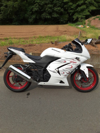 その他 ninja250R