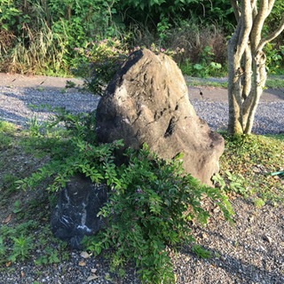 庭石差し上げます。まとめて引き取ってくださる方。