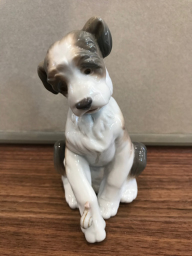 リアドロ　(犬)