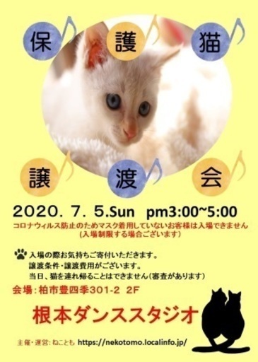7 5 日 柏市de保護猫譲渡会 ねことも 豊四季のその他のイベント参加者募集 無料掲載の掲示板 ジモティー
