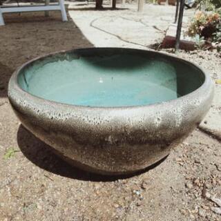 水鉢4