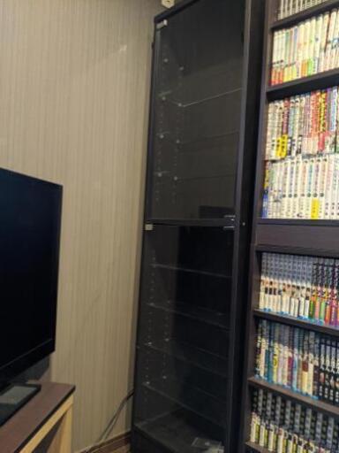 コレクションケース