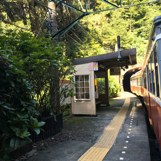 6月16日（火）有効の箱根フリーパス