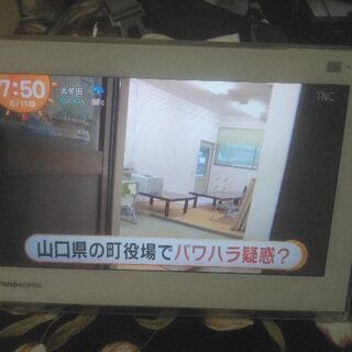 Panasonic プライベート・ビエラ UN-10TD6-W