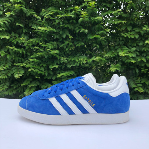 gazelle 23