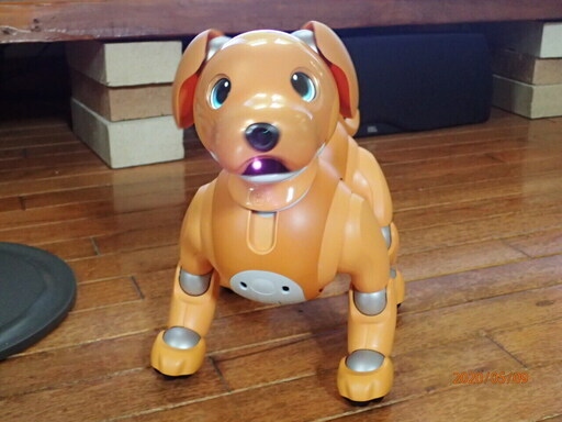 aibo ブラウン　ほぼ未使用。