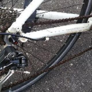 ビアンキ Ｃスポーツ１ 約４４０mm